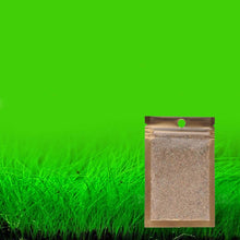 Load image into Gallery viewer, Beautiful Aquarium Grass Seeds Water Aquatic Green Plants Fish Tank Decoration Easy Planting Seed Pet Decorative Plants Supplies